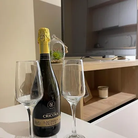 Enjoy Luxury Palace *